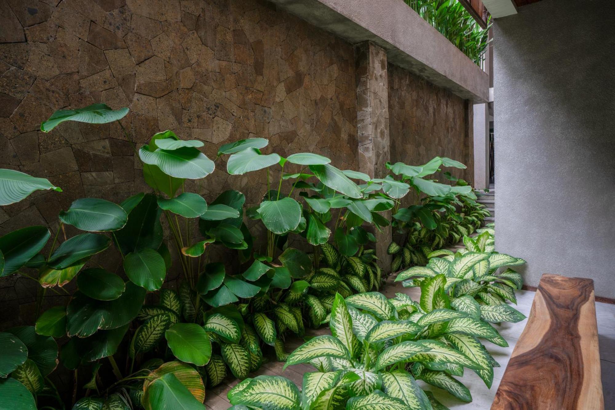 Kammora Living And Villas - Bali Invest Club Canggu Exterior foto